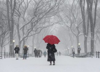 3 Tips to Help Beat the Winter Blahs for Caregivers