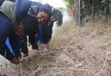 Laurelton Community Beautification Project.