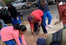 I’m Inspired To Start Cleaning My Neighborhood. By: Jada Whitfield