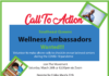 Call To Action…Calling All South East Queens Residents To Volunteer To Be Wellness Ambassadors