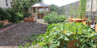 My Community Garden Experience
