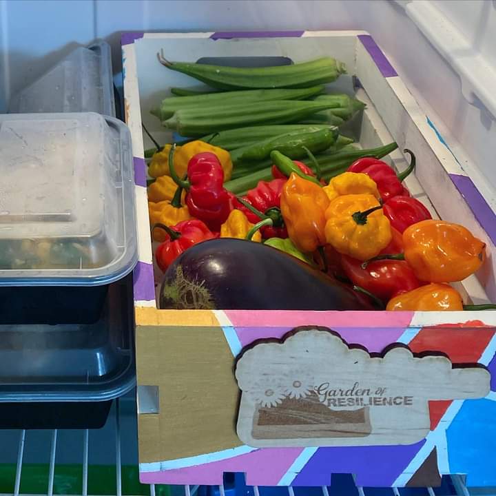 Garden of Resilience's weekly food donation to Saint Albans Community Fridge 