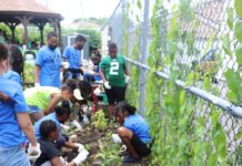 Curb Appeal or Sustainability: What Really Matters In Southeast Queens