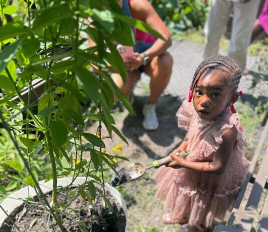 Sustainable Summer Giveback Thrives at Garden Of Resilience