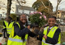 From Creativity to Community Change