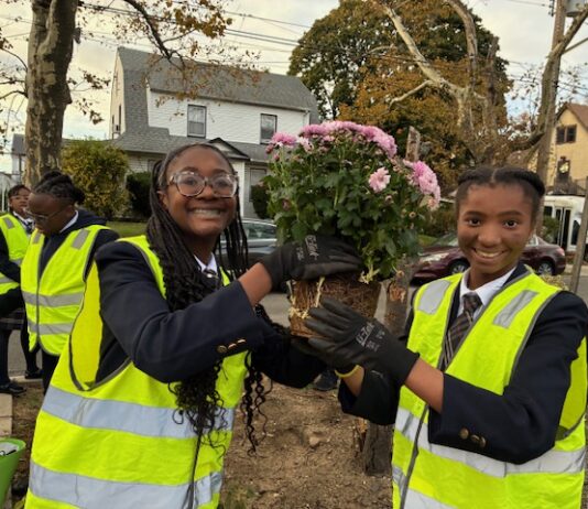 From Creativity to Community Change