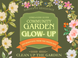 The love that keeps on giving!: Ecosystems