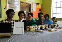 DIVAS for Social Justice launch DIBS in Laurelton to encourage Economic Growth