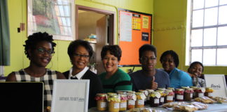 DIVAS for Social Justice launch DIBS in Laurelton to encourage Economic Growth