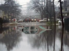 Climate Change: Is it possible in Queens?