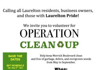 OPERATION CLEAN UP STRIKES AGAIN!!!!!! CALLING ALL LAURELTON RESIDENTS!!!