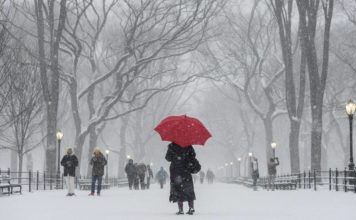 3 Tips to Help Beat the Winter Blahs for Caregivers