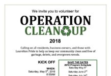 Laurelton Operation Clean Up Returns