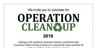 Laurelton Operation Clean Up Returns