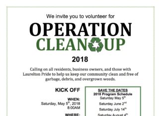 Laurelton Operation Clean Up Returns