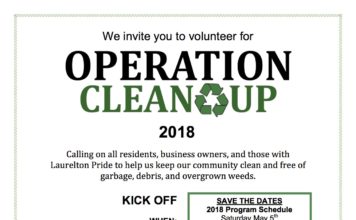 Laurelton Operation Clean Up Returns
