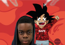 The Taste of Laurelton By Jamil Joseph