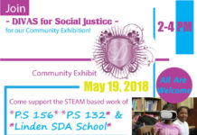 DIVAS for Social Justice Hosts Community Exhibit At Laurelton Library