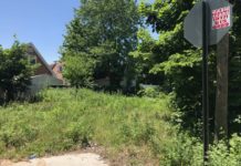 Building A Garden of Resilience in Laurelton