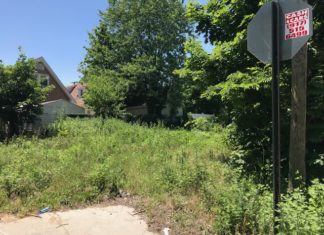 Building A Garden of Resilience in Laurelton