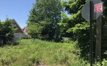 Building A Garden of Resilience in Laurelton