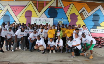 Laurelton Operation Clean Up 2019