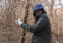 Community Garden Of Laurelton by: Shadrach St. Clair