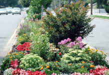 Laurelton Mall Beautification Contest
