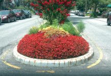 The 141st Roadside Garden, Laurelton Beautification Mall Contestant