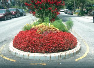 The 141st Roadside Garden, Laurelton Beautification Mall Contestant