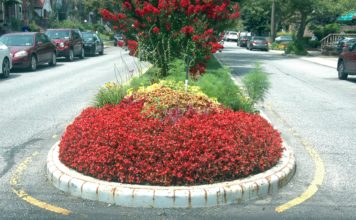 The 141st Roadside Garden, Laurelton Beautification Mall Contestant