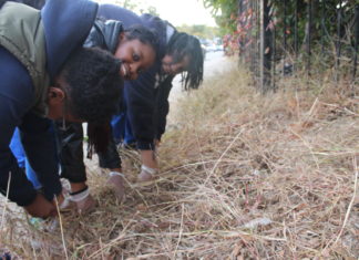 Laurelton Community Beautification Project.