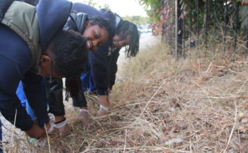 Laurelton Community Beautification Project.