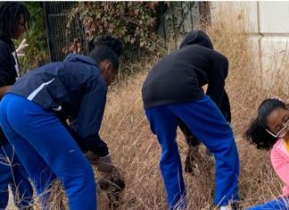 Our Cleaning Day Inspired. By: David Joseph