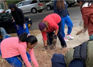 I’m Inspired To Start Cleaning My Neighborhood. By: Jada Whitfield