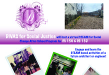 DIVAS for Social Justice Launches Virtual Programming To Actualize Social Action Project