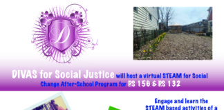 DIVAS for Social Justice Launches Virtual Programming To Actualize Social Action Project