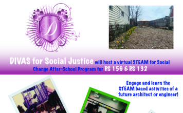 DIVAS for Social Justice Launches Virtual Programming To Actualize Social Action Project