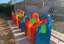 Students Redesign Virtual Reality Google Cardboard For The 1st Community Garden For Laurelton