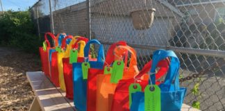 Students Redesign Virtual Reality Google Cardboard For The 1st Community Garden For Laurelton
