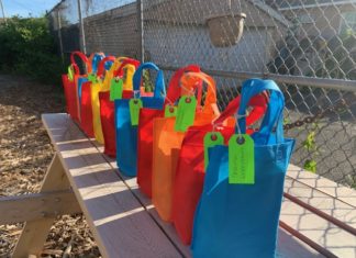 Students Redesign Virtual Reality Google Cardboard For The 1st Community Garden For Laurelton
