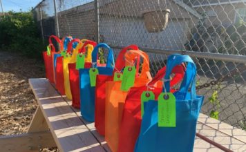 Students Redesign Virtual Reality Google Cardboard For The 1st Community Garden For Laurelton