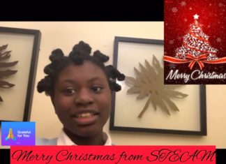 Merry Christmas To You!