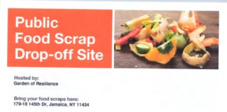 Garden Of Resilience Hosts Food Scrap Site In The New Year