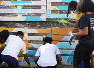 New York City Habitat For Humanity Partners With Garden Of Resilience