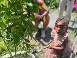 Sustainable Summer Giveback Thrives at Garden Of Resilience