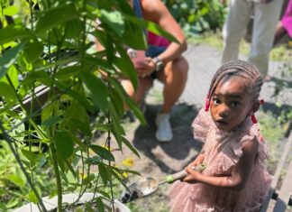 Sustainable Summer Giveback Thrives at Garden Of Resilience