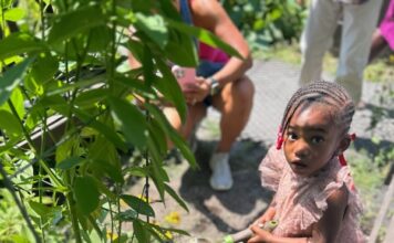 Sustainable Summer Giveback Thrives at Garden Of Resilience