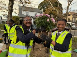 From Creativity to Community Change