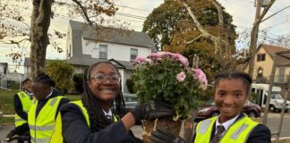 From Creativity to Community Change